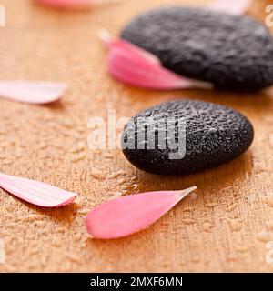 pietre nere con foglie gocce d'acqua Foto Stock