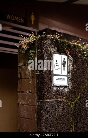 Un'immagine verticale di un cartello di gabinetto femminile sul lato di una parete Foto Stock