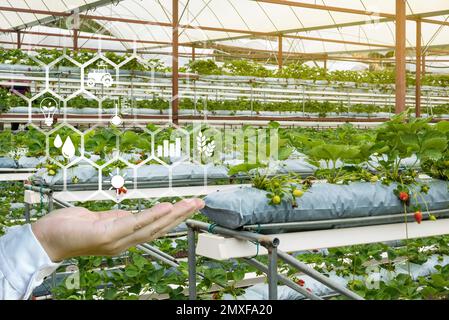 Una mano che tiene un'icona galleggiante con uno sfondo di casa verde farm.Concept di agricoltura intelligente e tecnologia moderna. Foto Stock