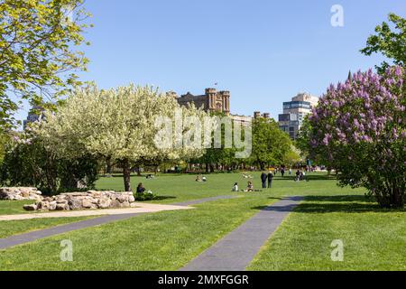 Ottawa, Canada - 18 maggio 2022: Persone nel Major's Hill Park in centro in primavera con alberi in fiore Foto Stock