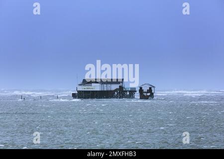 Case di palafitte sulla spiaggia di Sankt Peter-Ording / St. Peter-Ording durante la tempesta in inverno, Nordfriesland, Schleswig-Holstein, Germania Foto Stock