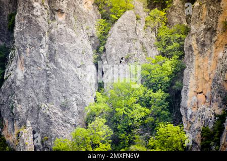 Uccelli non riconosciuti volano nella valle dell'aquila a Dedoplitskaro. Georgia. Regione meridionale di Kakheti Foto Stock