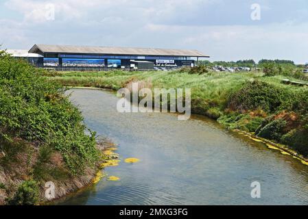 Terre de sel, Saline a Guerande, Loire-Atlantique, Pays-de-la-Loire, Bretagne, Francia, Europa Foto Stock