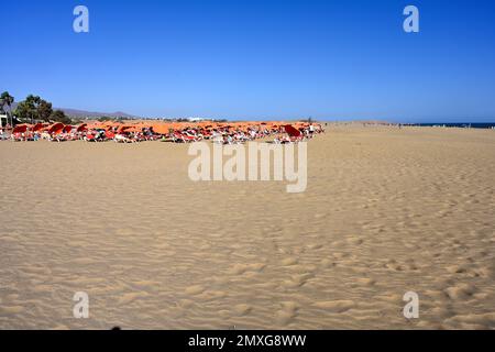 Ombrelloni e lettini lungo la vasta distesa di Maspalomas spiaggia sabbiosa con mare in lontananza, Gran Canaria Foto Stock