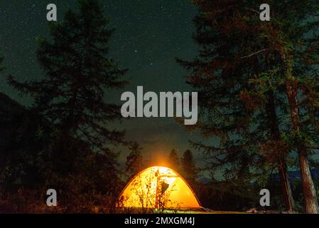 Una tenda turistica con un'entrata socchiusa si illumina sullo sfondo di alberi di abete vicino alla montagna e un cielo notturno blu con stelle. Foto Stock