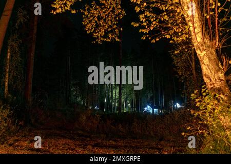 Illuminate dalla luce delle lampade, le case di un centro ricreativo in una foresta di alberi di notte. Foto Stock