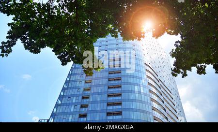 Guardando verso gli edifici commerciali nel centro. Moderno edificio di uffici con cielo blu. Finestre di un moderno edificio in vetro. Foto Stock