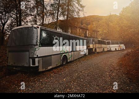 Posto perso. Autobus abbandonato. Finestre rotte. Dimenticato nella foresta. Foto di alta qualità Foto Stock