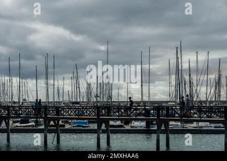 Marina Rubicon, Playa Blanca, Isole Canarie, Spagna Foto Stock