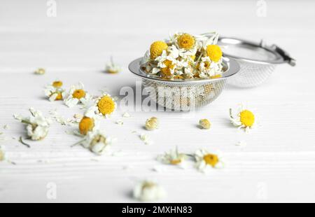Fiori di camomilla asciutti in infusore su tavolo di legno bianco, primo piano Foto Stock