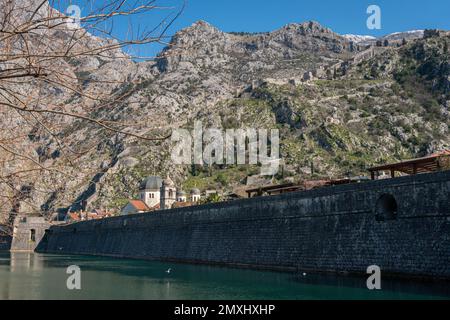 Fortificazioni veneziane a Cattaro, Montenegro Foto Stock