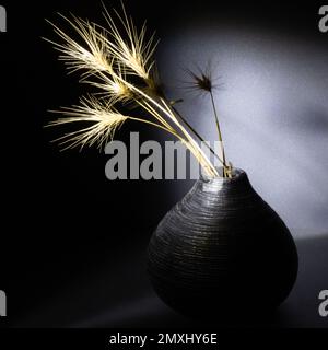 Spikelets secchi in un piccolo vaso decorativo di argilla. Sfondo scuro, raggi di luce cadono sulle spikelets. Vita morta minimalista. Spazzola leggera, primo piano Foto Stock