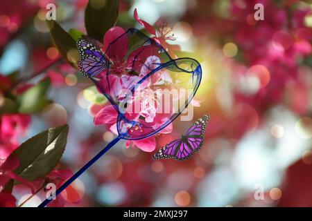 Rete luminosa e belle farfalle su albero fiorente all'aperto Foto Stock