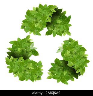 Simbolo di riciclaggio fatto di foglie su sfondo bianco Foto Stock