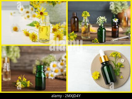 Collage di foto diverse con oli e fiori essenziali Foto Stock
