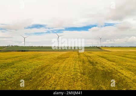 Turbine eoliche in campo in una giornata nuvolosa Foto Stock