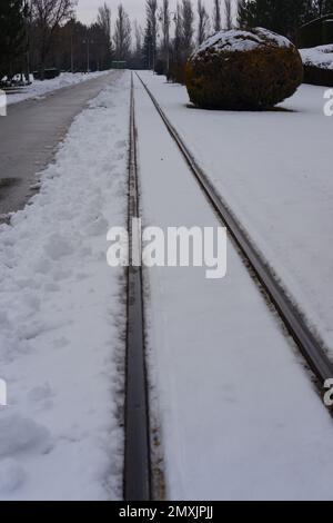 Binari ferroviari ricoperti di neve in inverno freddo con pini vicini Foto Stock