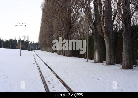 Binari ferroviari ricoperti di neve in inverno freddo con pini vicini Foto Stock