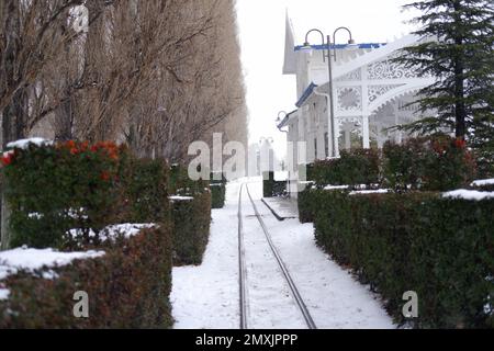 Binari ferroviari ricoperti di neve in inverno freddo con pini vicini Foto Stock