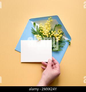Scheda vuota in mano umana. Mimosa fiori in busta blu su sfondo giallo. Decorazioni in primavera naturali. Piano di giacitura, vista dall'alto. Foto Stock