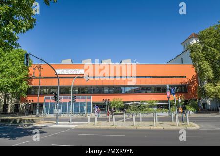 Tu Mensa, Hardenbergstraße, Charlottenburg, Berlino, Germania, Europa Foto Stock