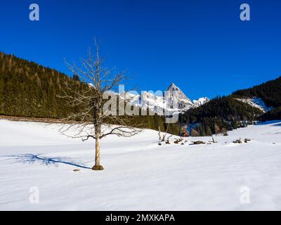 Admonter Kaibling nel Parco Nazionale Gesäuse, Stiria, Austria, Europa Foto Stock