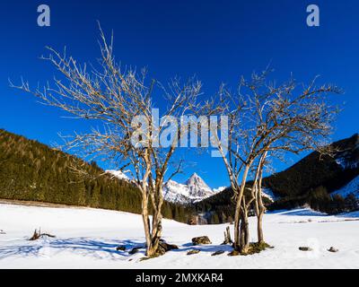 Admonter Kaibling nel Parco Nazionale Gesäuse, Stiria, Austria, Europa Foto Stock