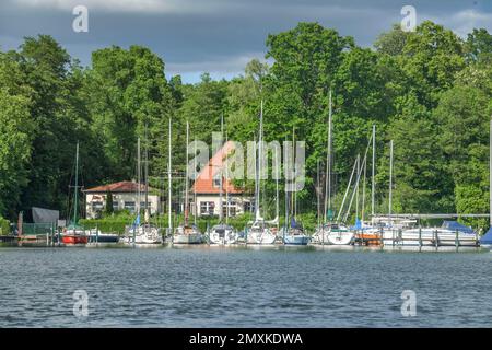 Associazione dei marinai di Tegel, Jetty, Große Malche, Tegeler See, Tegel, Reinickendorf, Berlino, Germania, Europa Foto Stock