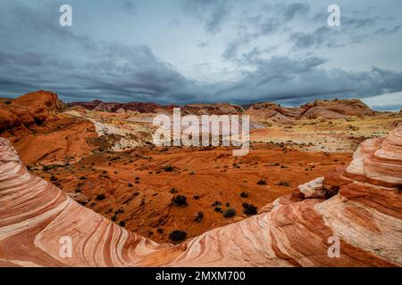 La Valle del Fuoco del parco statale, Nevada Foto Stock