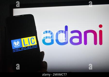 Kolkata, India. 03rd Feb, 2023. IL logo LIC (Life Insurance Corporation of India) e Adani Group è riportato in questa illustrazione a Kolkata, India, il 3 febbraio 2023. LIC ha investito oltre $4 miliardi di dollari nel gruppo (Adani Group), che ha perso circa $66 miliardi di dollari dalla ricerca di Hindenburg. (Foto di Sudipta Das/Pacific Press) Credit: Pacific Press Media Production Corp./Alamy Live News Foto Stock