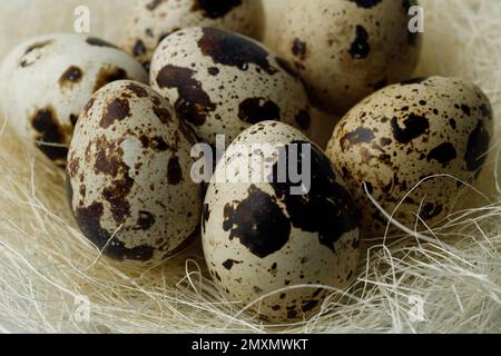 Uova di quaglia in nido su sfondo grigio chiaro. Concetto di Pasqua. Prodotti agricoli naturali e biologici. Primo piano Foto Stock