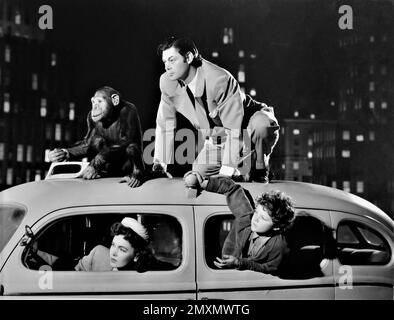 CHEETA The Chimpanzee JOHNNY WEISSMULLER MAUREEN o'SULLIVAN e JOHNNY SHEFFIELD posero ancora su New York Taxi di CLARENCE SINCLAIR BULL Pubblicità per IL nuovo DIRETTORE DELL'AVVENTURA di TARZAN a New YORK 1942 RICHARD THORPE basato su personaggi creati da Edgar Rice Burroughs Metro Goldwyn Mayer Foto Stock