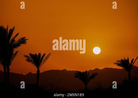 Tramonto dietro la montagna sullo sfondo di palme in Egitto a Sharm El Sheikh, tramonto nel deserto in Africa Foto Stock