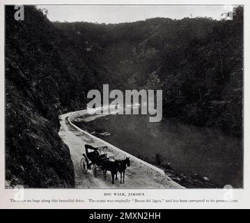 Passeggiata di palude. Giamaica dal libro Panama and the Canal in picture and prose : una storia completa di Panama, così come la storia, lo scopo e la promessa del suo canale famoso in tutto il mondo la più gigantesca impresa di ingegneria dall'alba del tempo di Willis John Abbot,1863-1934 pubblicato a Londra ; New York da Syndicate Publishing Co. Nel 1913 Foto Stock