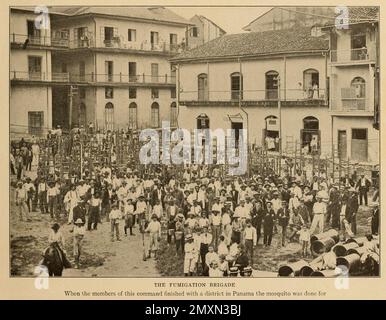 La brigata di fumigazione quando i membri di questo comando finì con un distretto a Panama la zanzara fu fatta per dal libro Panama e il canale in foto e prosa : Una storia completa di Panama, così come la storia, lo scopo e la promessa del suo canale famoso in tutto il mondo l'impresa di ingegneria più gigantesca dall'alba del tempo da Willis John Abbot,1863-1934 pubblicato a Londra ; New York da Syndicate Publishing Co. Nel 1913 Foto Stock