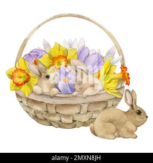 Acquerello disegnata a mano la clipart di festa di Pasqua. Cestino con uova dipinte, erba, coniglietti, fiori primaverili. Isolato su sfondo bianco Design per Foto Stock