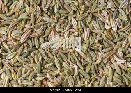 Una vista dall'alto texture sfondo pieno di semi di finocchio chiamato anche Saunf Foto Stock