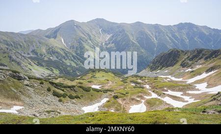 Verde valle alpina coperta di macchie di neve a caso all'inizio della primavera, UE, Slovacchia Foto Stock