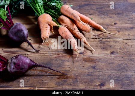 Le radici fresche scavate nell'orto dei coltivatori, le carote e le barbabietole con i piani si trovano sulle tavole da tavola. Foto Stock