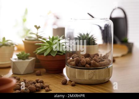 Belle piante in vaso e argilla espansa su tavolo di legno a casa