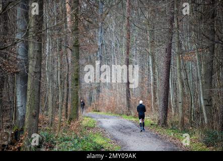 Stoccarda, Germania. 04th Feb, 2023. Un uomo fa jogging in un'area boscosa. Credit: Christoph Schmidt/dpa/Alamy Live News Foto Stock