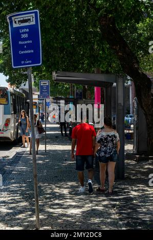 Molte fermate di autobus riparano sotto l'ombra dell'albero al terminal degli autobus Candelaria sul viale Presidente Vargas, vicino alla chiesa Candelaria in una giornata di sole estivo. Foto Stock