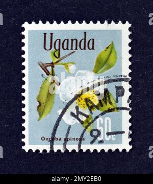 Francobollo cancellato stampato dall'Uganda, che mostra l'albero di Snuff-box (Oncoba spinosa), Native Flora, circa 1969. Foto Stock