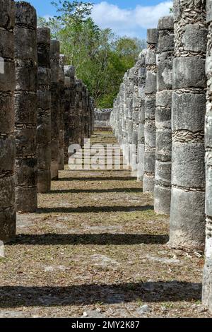 Il gruppo delle mille colonne, Chichén Itzá, Yucatán, Messico Foto Stock