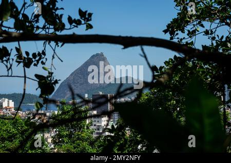 La montagna Sugarloaf si vede attraverso i rami della piattaforma di osservazione Curvelo nel quartiere di Santa Teresa sotto il sole pomeriggio cielo azzurro. Foto Stock