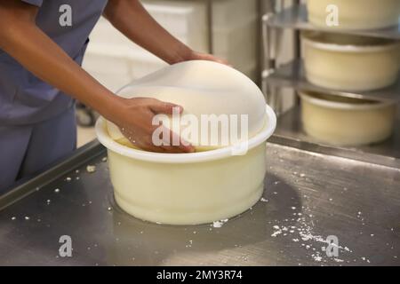 Lavoratore che prende formaggio fresco dalla muffa in fabbrica moderna, primo piano Foto Stock