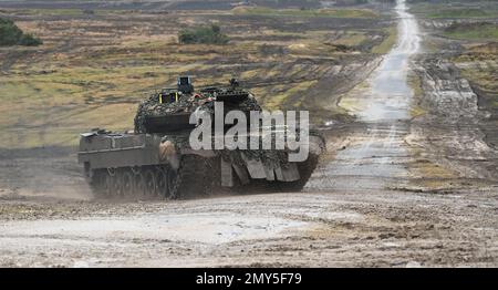 Augustdorf, Germania. 01st Feb, 2023. Un leopardo 2 A6 del Battaglione carro armato dell'esercito tedesco 203 guida nell'area di allenamento. Credit: Ann-Marie Utz/dpa/Alamy Live News Foto Stock