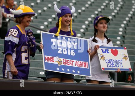 Minnesota Vikings fans hold signs in the stands before an preseason NFL  football game against the Cincinnati Bengals, Friday, Aug. 12, 2016, in  Cincinnati. (AP Photo/Gary Landers Stock Photo - Alamy