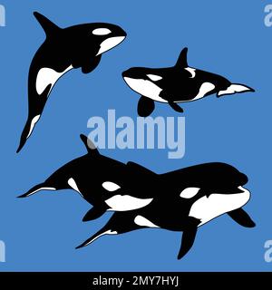 Killer Whale Aquatic Mammal Carnivore Set. Illustrazione vettoriale Illustrazione Vettoriale