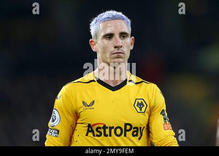 Wolverhampton, Regno Unito. 04th Feb, 2023. Daniel Podence di Wolverhampton Wanderers guarda su. Incontro della Premier League, Wolverhampton Wanderers/Liverpool allo stadio Molineux di Wolverhampton, Inghilterra, sabato 4th febbraio 2023. Questa immagine può essere utilizzata solo per scopi editoriali. Solo per uso editoriale, licenza richiesta per uso commerciale. Non è utilizzabile nelle scommesse, nei giochi o nelle pubblicazioni di un singolo club/campionato/giocatore. pic di Chris Stading/Andrew Orchard sports photography/Alamy Live news Credit: Andrew Orchard sports photography/Alamy Live News Foto Stock